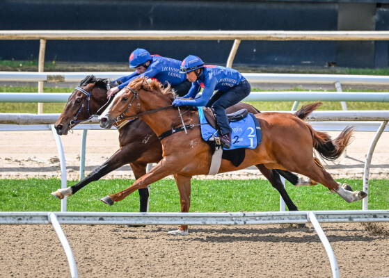 Lot 21: Trapeze Artist / Further